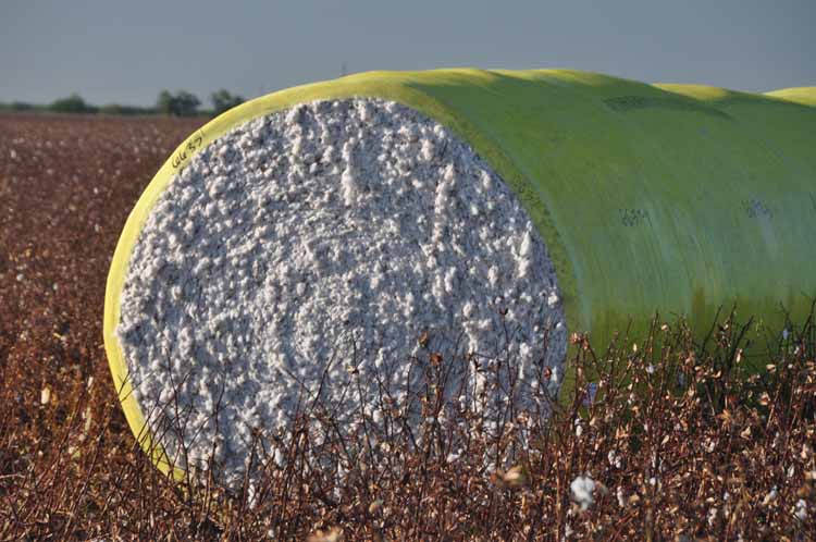cotton bale closeup